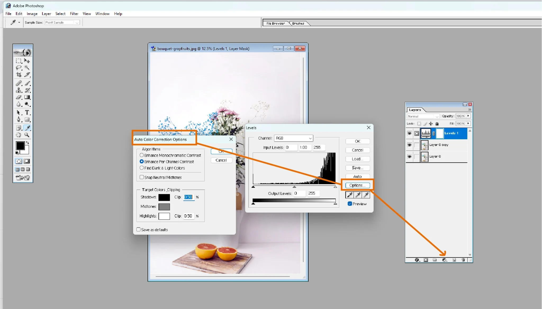 Auto Color feature in Adobe Photoshop 7.0 showing one-click color correction